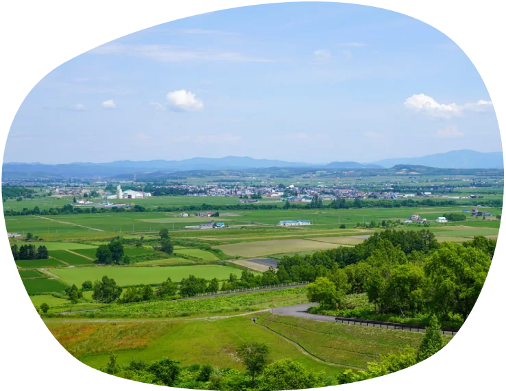 沼田町の田園風景
